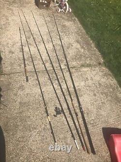 CARP FISHING Rods X4 And a Fly rod Plus A Sea Rod For Sale