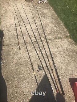 CARP FISHING Rods X4 And a Fly rod Plus A Sea Rod For Sale