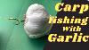 Carp Fishing And Ways To Garlic Like You Ve Never Seen Before