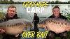 Catch More Carp Over Bait With Mark Bartlett Dna Baits Carp Fishing Boilies Autumn Carping