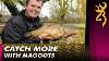 Catch More With Maggots Pole Fishing For Carp U0026 Silvers