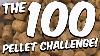 How Many Fish Can I Catch With Just 100 Pellets Challenge Joe
