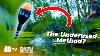 Jigger Float Fishing Explained The Ultimate Shallow Rig Match Masterclass