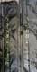 Korda Kaizen Green 12ft 4lb Carp Rods X2