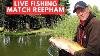 Live Fishing Match Reepham Fisheries Matchfishinguk