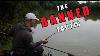 Method Feeder The Banned Tactic That Makes Feeder Fishing Easy Method Feeder In The Margins