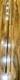 Northwestern Carp Fishing Rod Hi Lite Multi Range 12ft 2 Piece Eva Handle