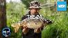 Oli Davies The 24 Pole Fishing Carp Fishing On The Clock