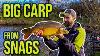 Pole Fishing For Big Carp In Snags
