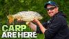Pole Fishing For Carp In Summer Andy Power