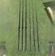 Set Of 3 Greys Prodigy 12' 3lb Carp Fishing Rods