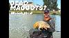 Short Pole Big Carp Maggot Fishing Secrets Revealed