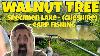 Walnut Tree Farm Specimen Lake Cheshire Carp Fishing