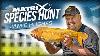 We Let Jamie Hughes Fish A River Matrix Species Hunt Episode 1
