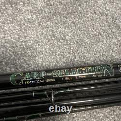 2x Sélection de Carpes, Canne à Pêche à la Carpe Noire