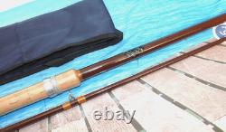 Canne vintage rare et fine Henry Aiken London Carp Select 10' 2 brins, action rapide