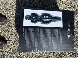 CarpLife Eclipse Camo 12ft 5 Sacs de Transport pour Cannes de Pêche à la Carpe en Plein Air