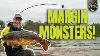 Les Monstres De La Marge Capturent D'énormes Poissons Avec Jon Arthur