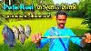 Pole Rod Comment Utiliser Pole Rod Malayalam Pêche